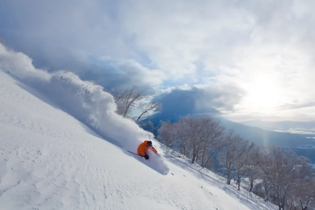 skiing powder in Niseko Japan