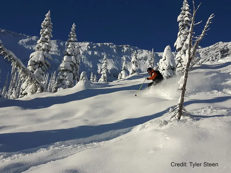 skier in fluffy powder at Fernie resort