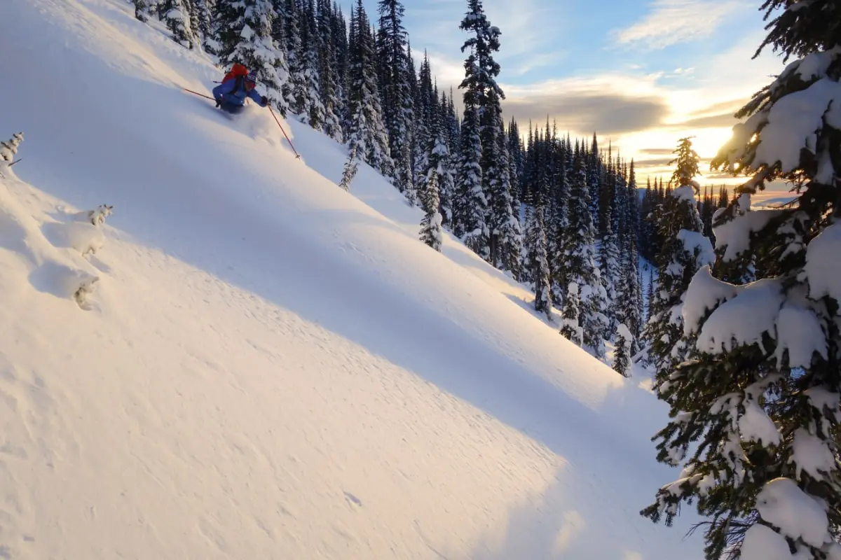 sun setting on a skier in deep powder
