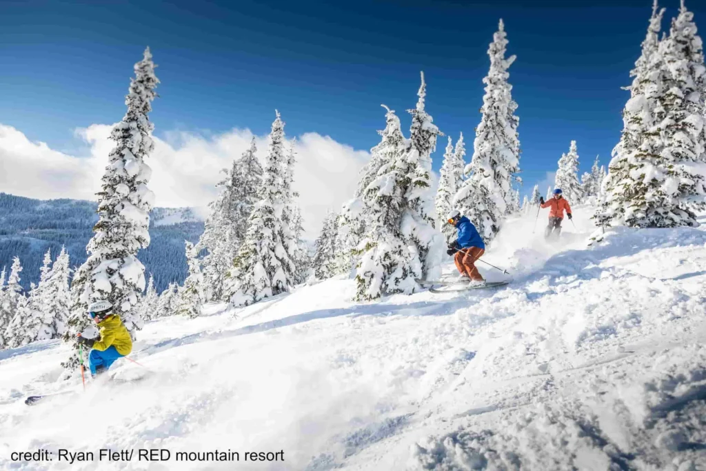 3 skiers navigating the trees at Red Mountain ski resort