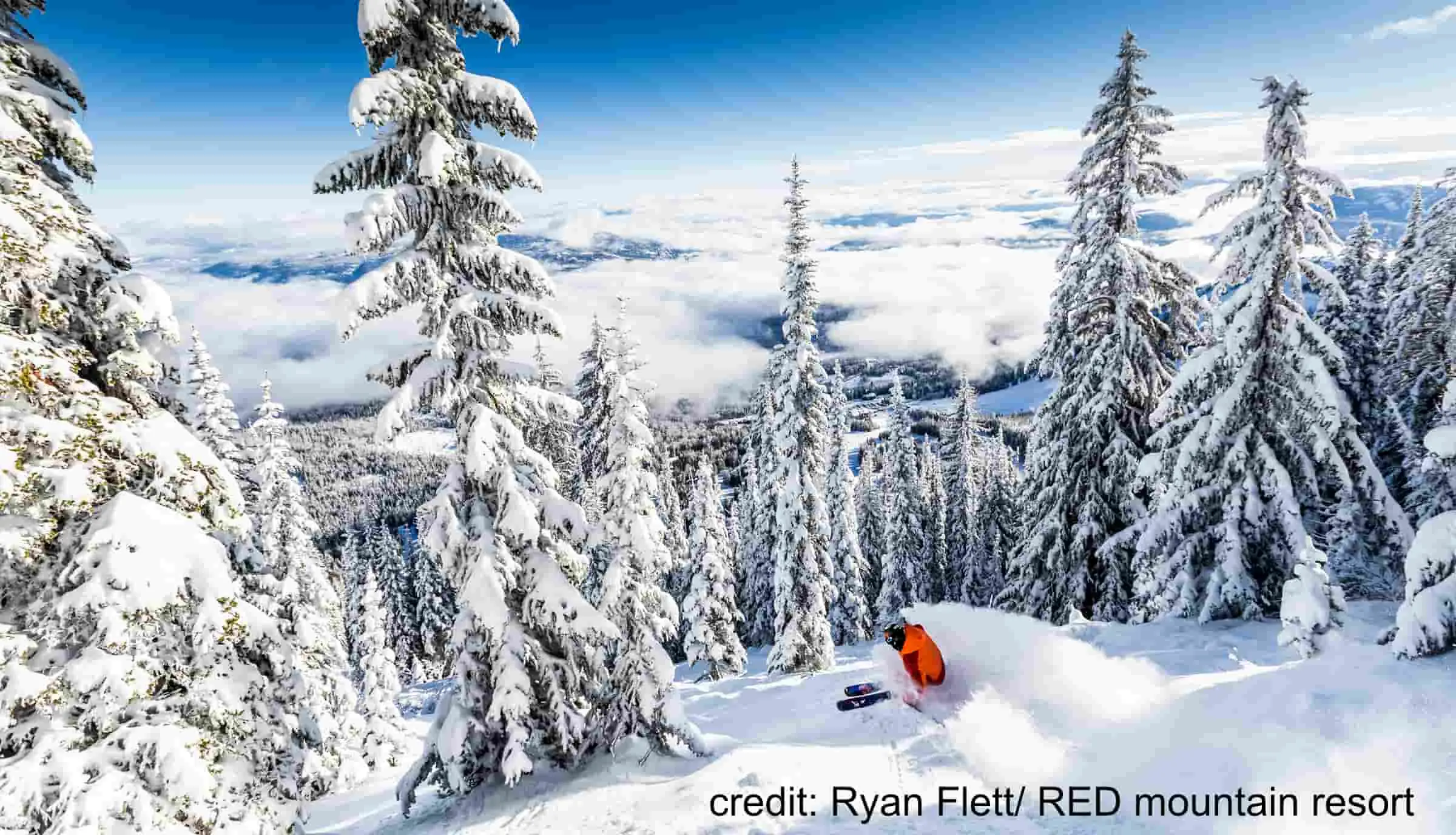 skier kicking up powder on a sunny day at Red Mountain resort
