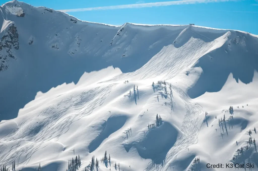 ski tracks all over a bowl in the Revelstoke backcountry