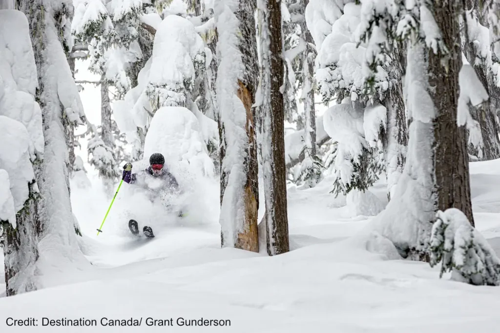 skier in deep powder between trees in Whistler