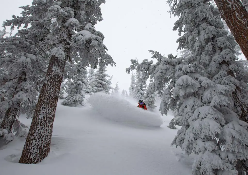 snowboarder churning up powder on a cloudy day in Palisades