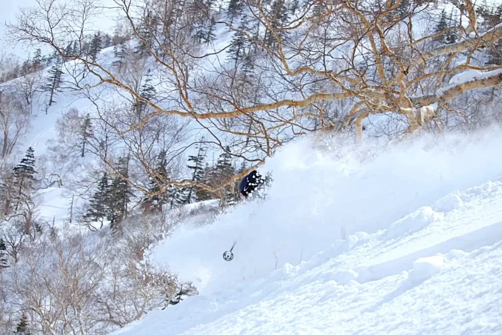 Skier in famous Hakuba powder